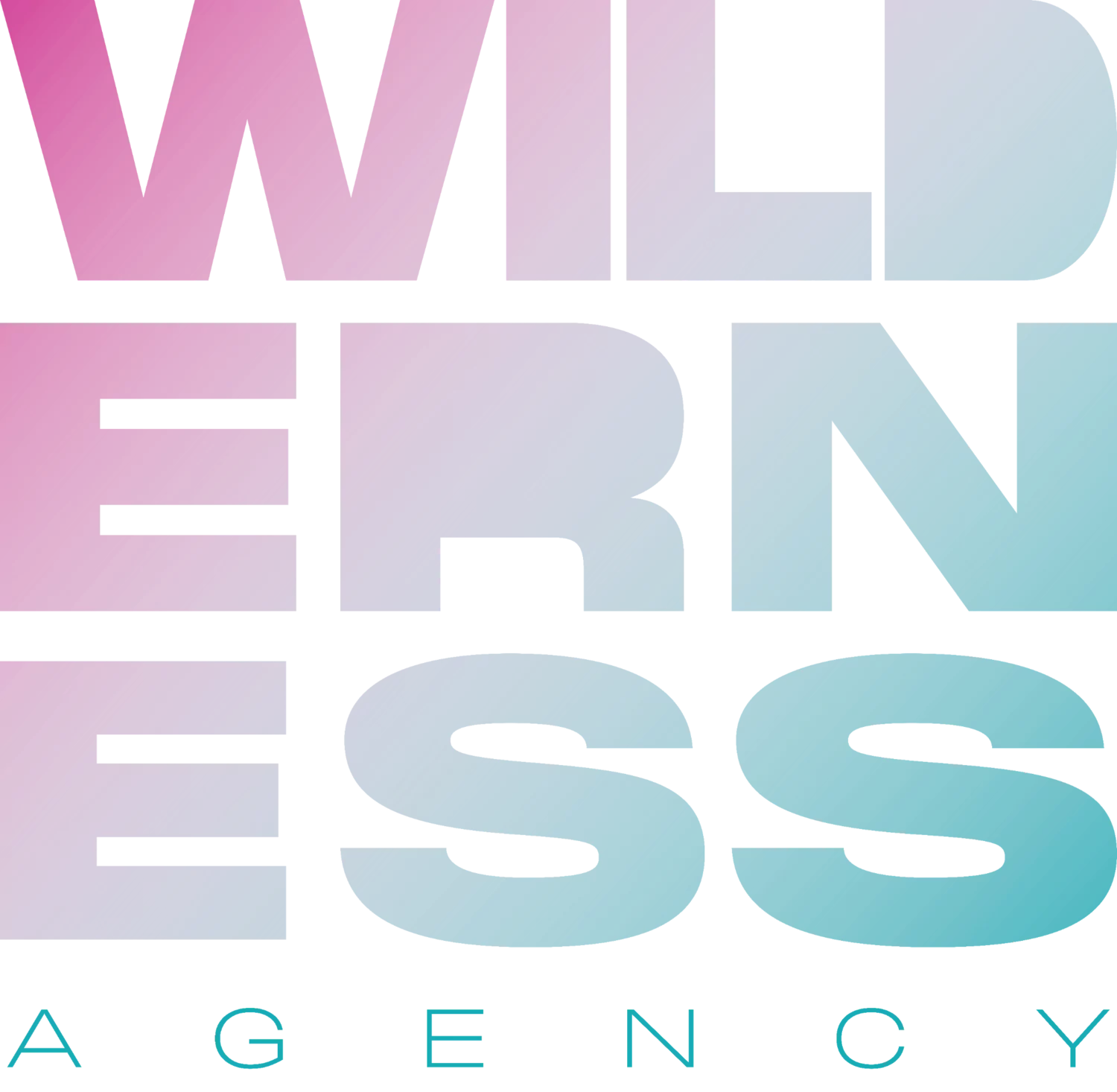 havas-acquires-social-media-agency-wilderness